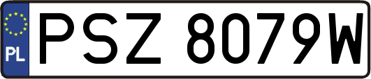 PSZ8079W