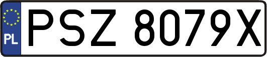 PSZ8079X