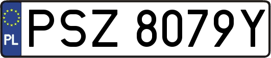 PSZ8079Y