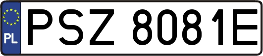 PSZ8081E