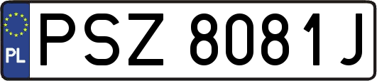 PSZ8081J