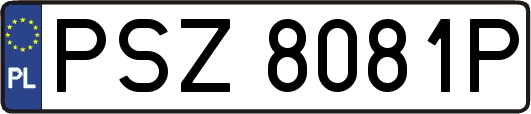 PSZ8081P