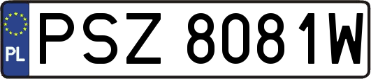 PSZ8081W
