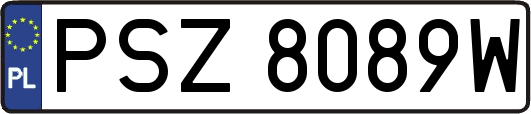 PSZ8089W