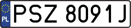 PSZ8091J
