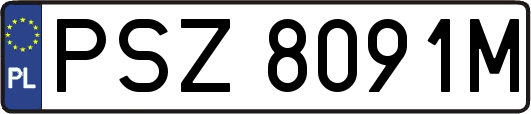 PSZ8091M