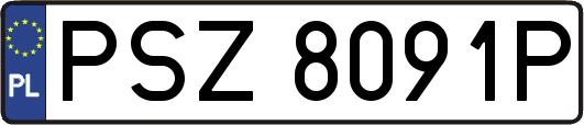 PSZ8091P