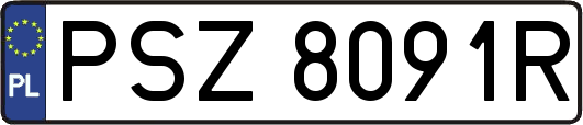 PSZ8091R