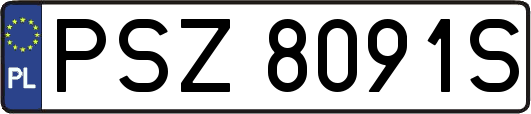 PSZ8091S