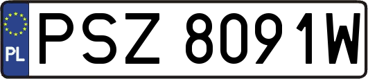 PSZ8091W