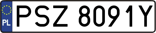 PSZ8091Y
