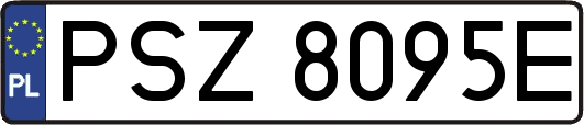 PSZ8095E