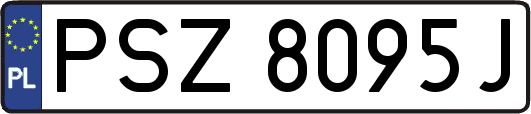 PSZ8095J