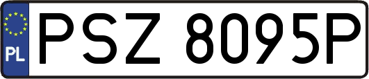 PSZ8095P