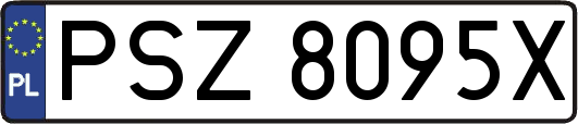 PSZ8095X
