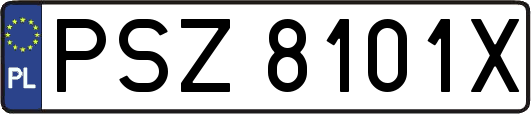 PSZ8101X