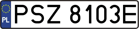 PSZ8103E