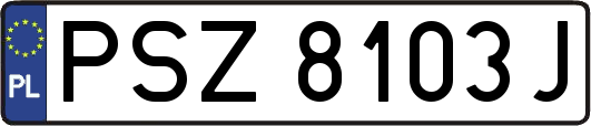 PSZ8103J