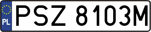 PSZ8103M