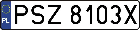 PSZ8103X