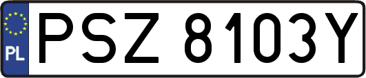 PSZ8103Y
