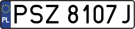 PSZ8107J