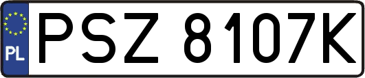 PSZ8107K