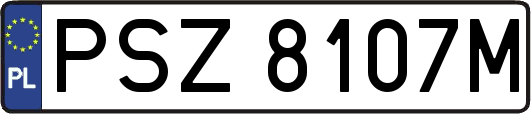 PSZ8107M
