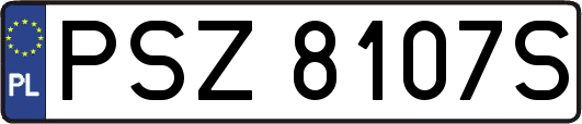 PSZ8107S