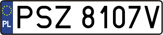 PSZ8107V
