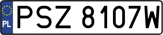 PSZ8107W