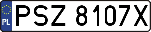 PSZ8107X