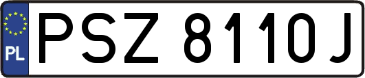 PSZ8110J