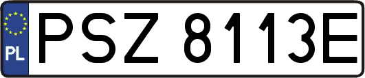 PSZ8113E