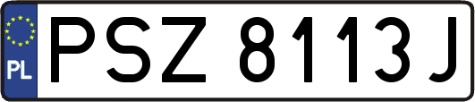 PSZ8113J