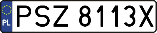 PSZ8113X