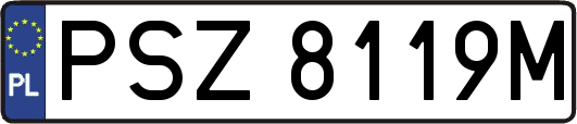 PSZ8119M