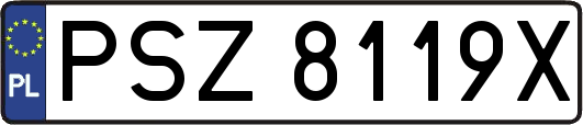 PSZ8119X