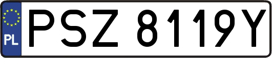 PSZ8119Y