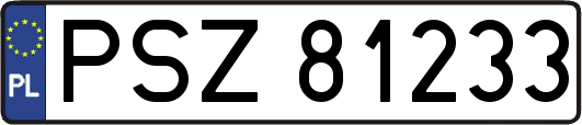 PSZ81233