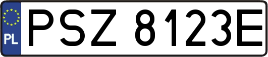 PSZ8123E