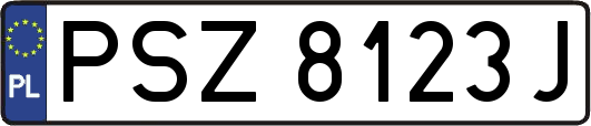 PSZ8123J