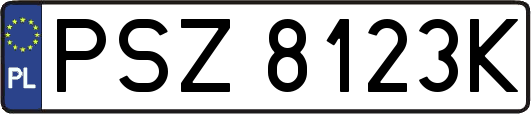 PSZ8123K