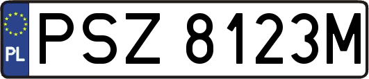 PSZ8123M