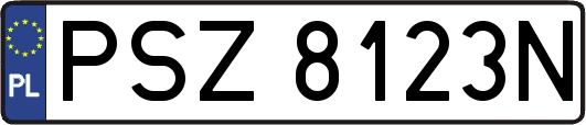 PSZ8123N