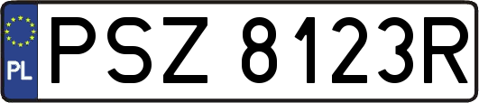 PSZ8123R