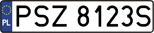 PSZ8123S