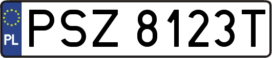 PSZ8123T