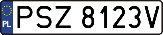 PSZ8123V