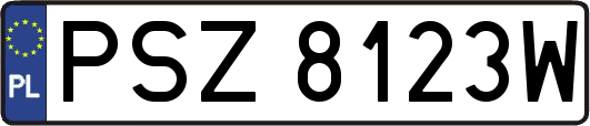PSZ8123W